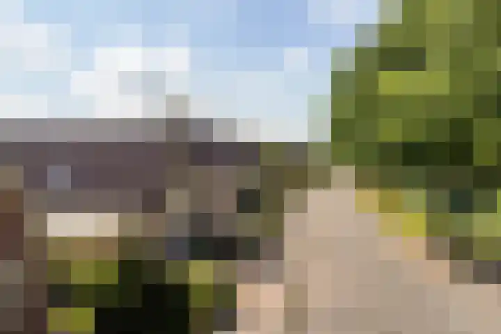 Gaffel 14 Joure thumbnail 48