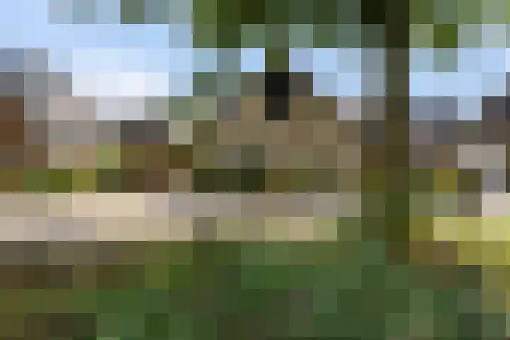 Gaffel 14 Joure thumbnail 49