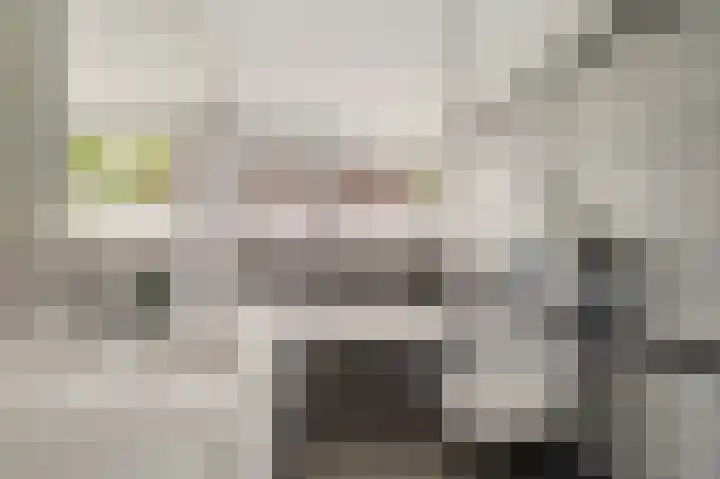 Gaffel 14 Joure thumbnail 5