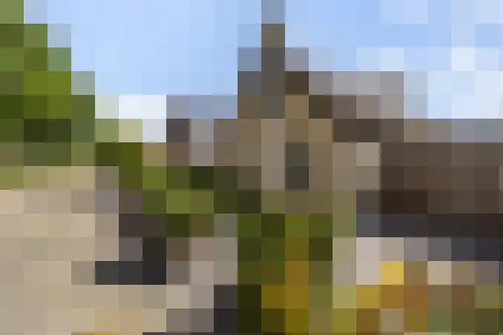 Gaffel 14 Joure thumbnail 50