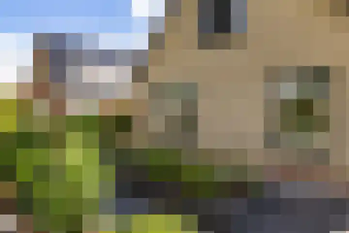 Gaffel 14 Joure thumbnail 51