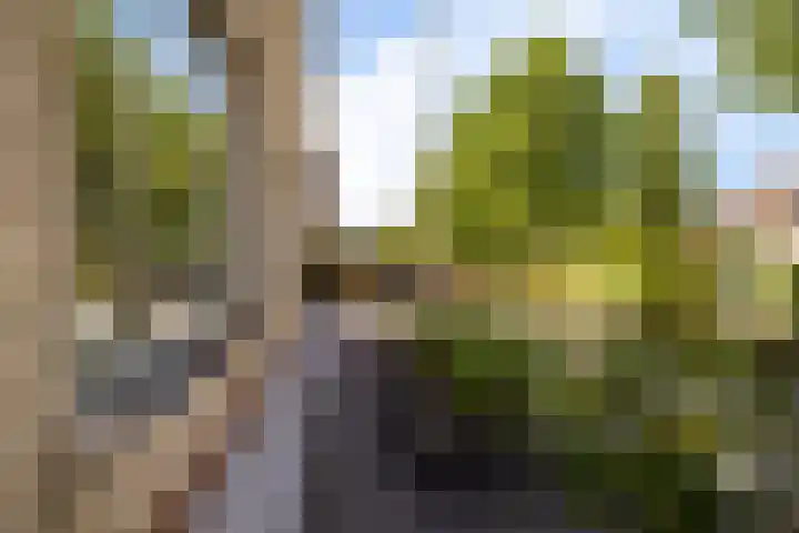 Gaffel 14 Joure thumbnail 52