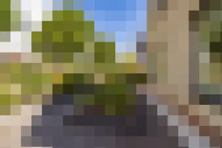 Gaffel 14 Joure thumbnail 53