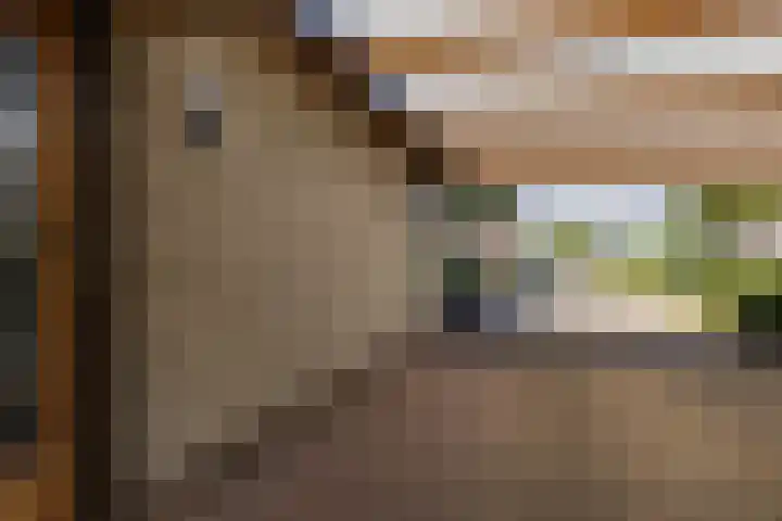 Gaffel 14 Joure thumbnail 7