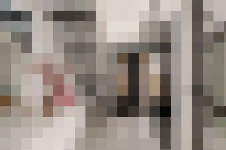 Gaffel 14 Joure thumbnail 9
