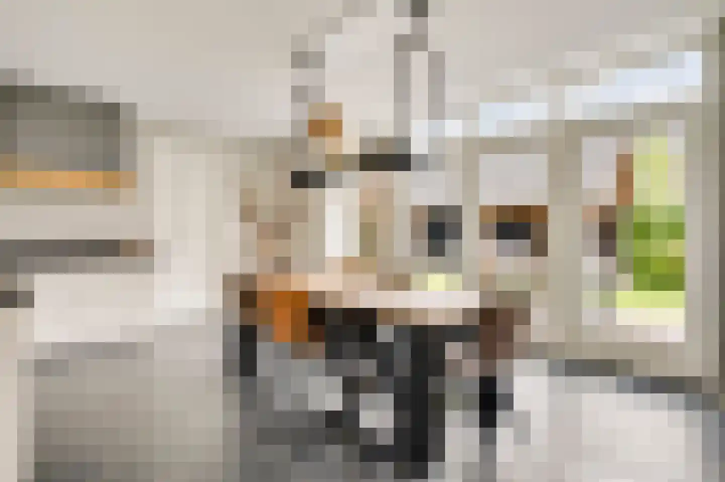 Gaffel 15 Weert thumbnail 17