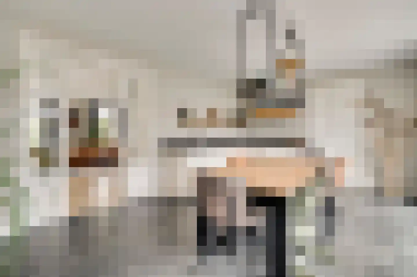 Gaffel 15 Weert thumbnail 18