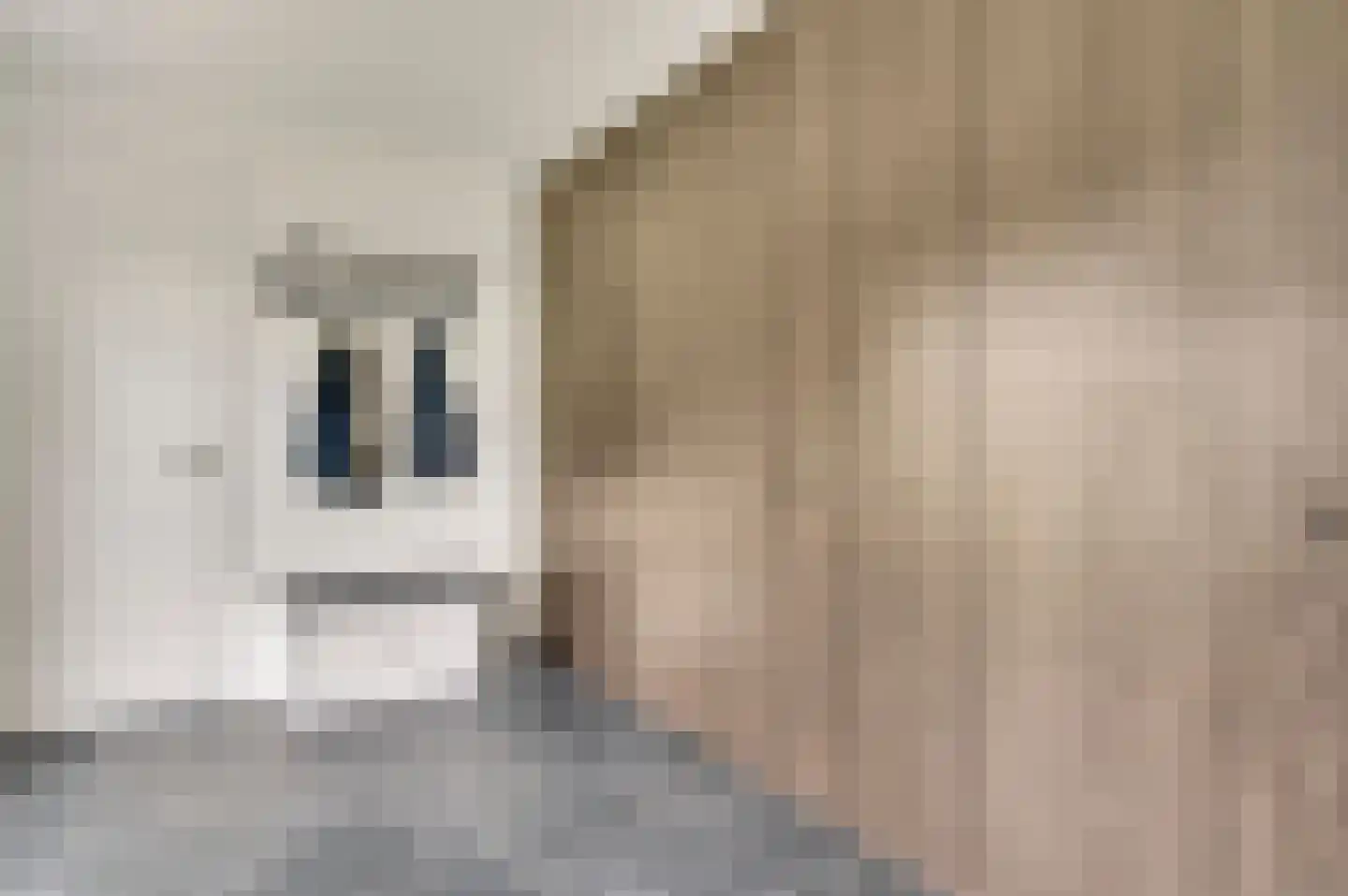 Gaffel 15 Weert thumbnail 21