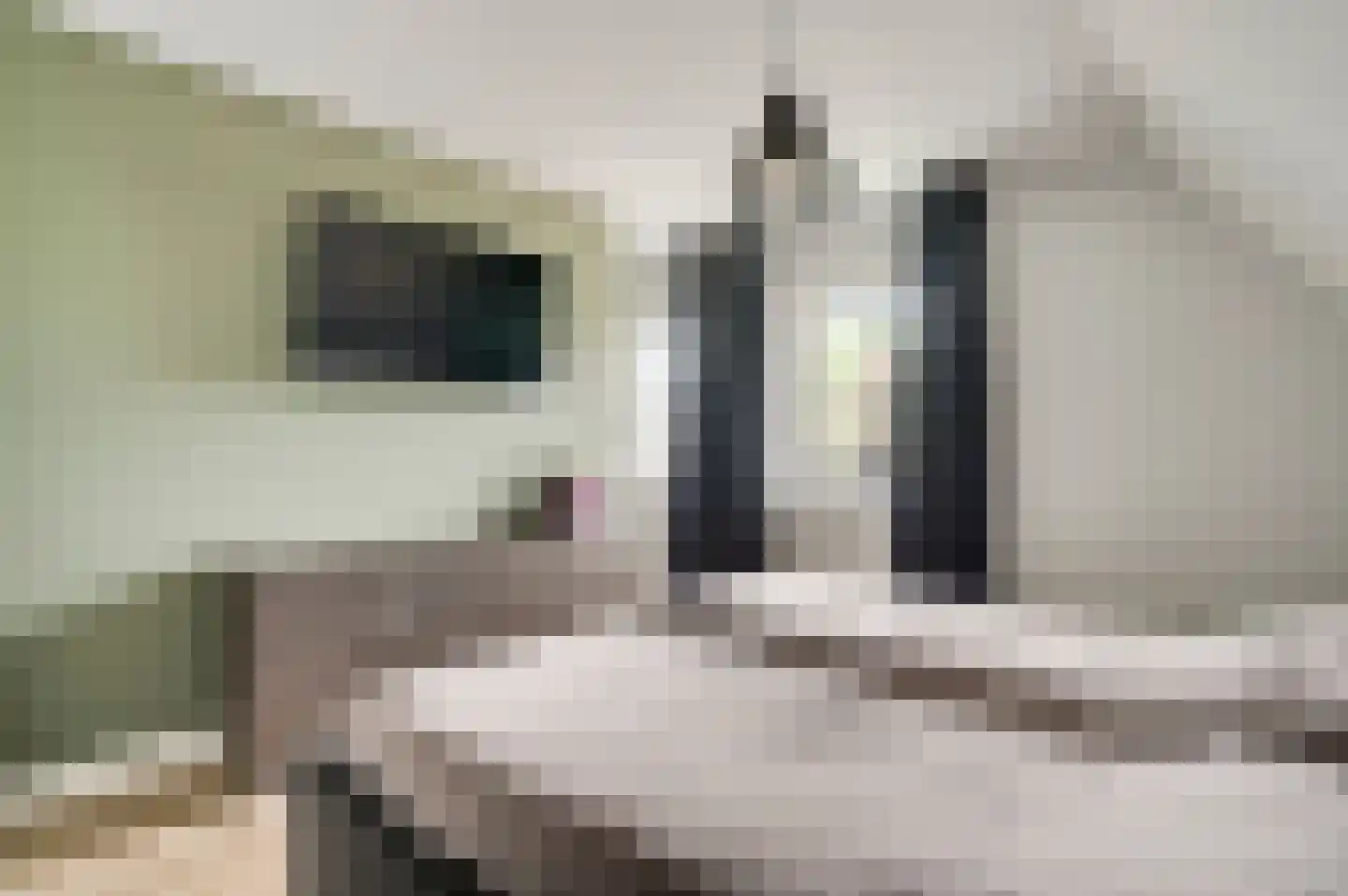 Gaffel 15 Weert thumbnail 25