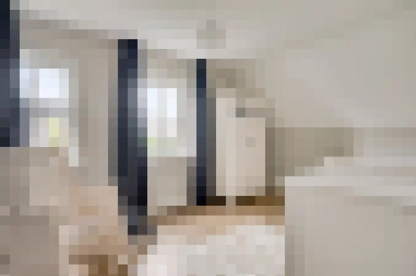Gaffel 15 Weert thumbnail 30