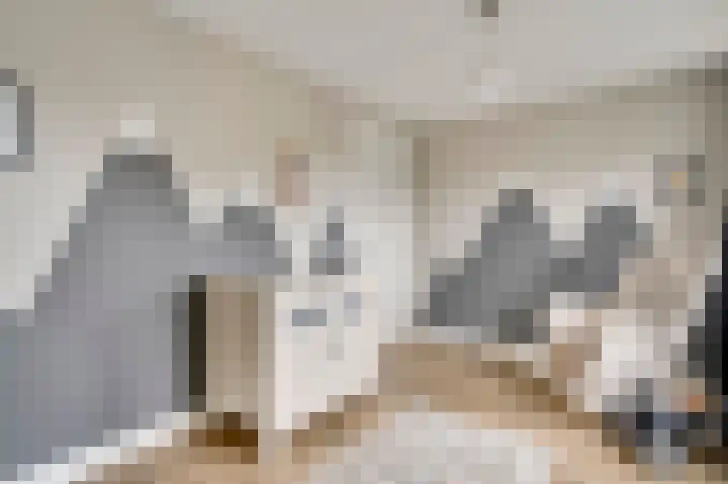 Gaffel 15 Weert thumbnail 31