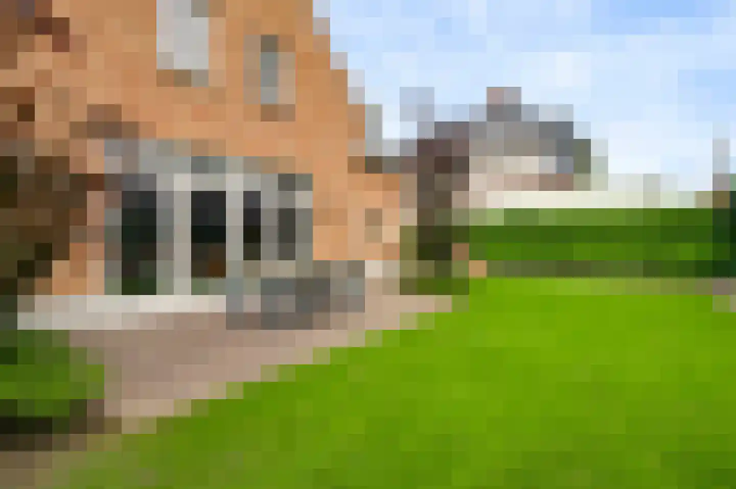Gaffel 15 Weert thumbnail 36