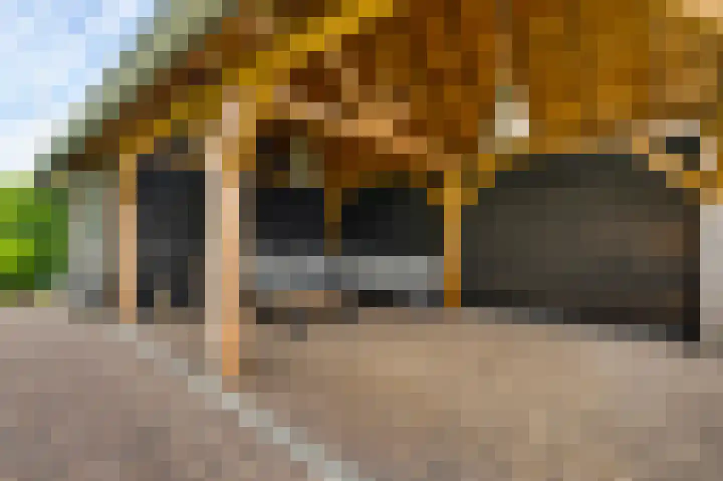 Gaffel 15 Weert thumbnail 39