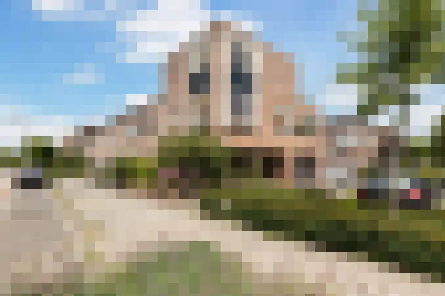 Gaffel 16 Nijkerk