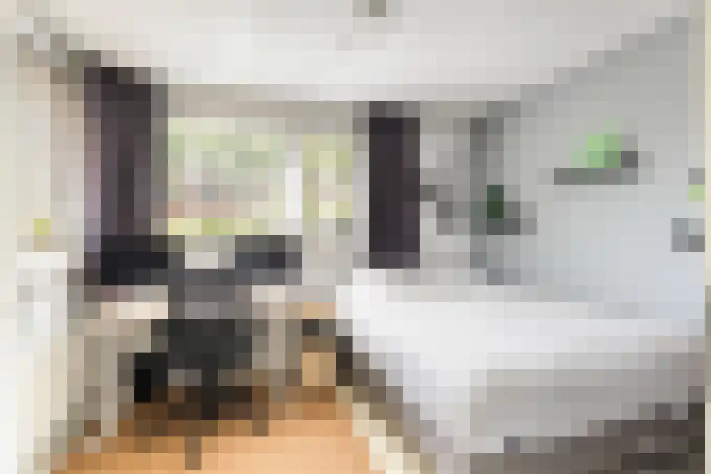 Gaffel 16 Nijkerk thumbnail 10