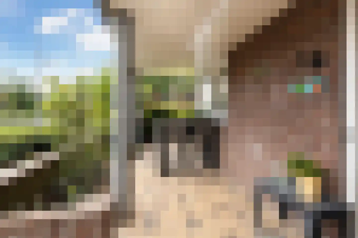 Gaffel 16 Nijkerk thumbnail 30