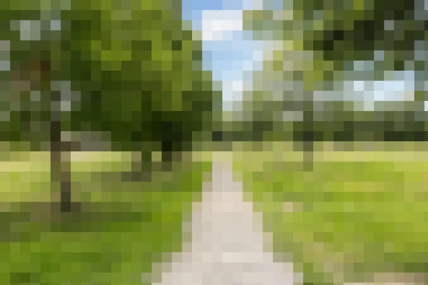 Gaffel 16 Nijkerk thumbnail 33