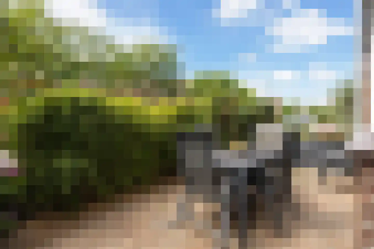 Gaffel 16 Nijkerk thumbnail 5