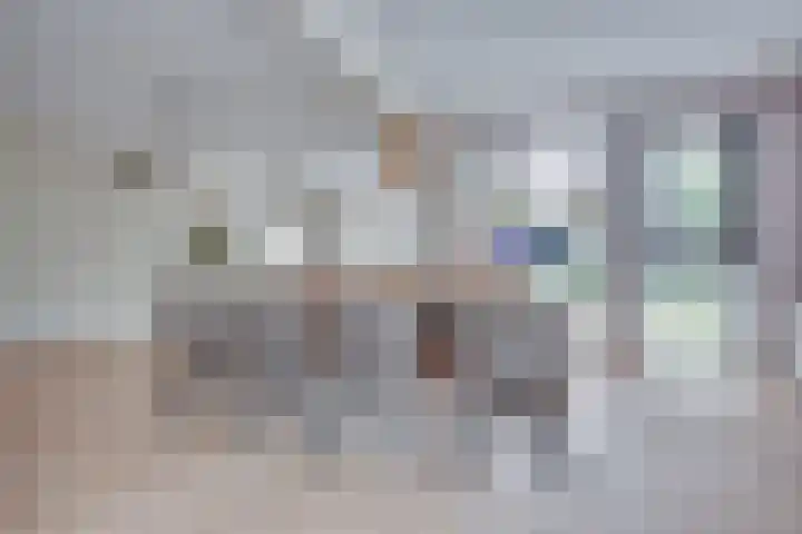 Gaffel 19 's-Hertogenbosch thumbnail 11