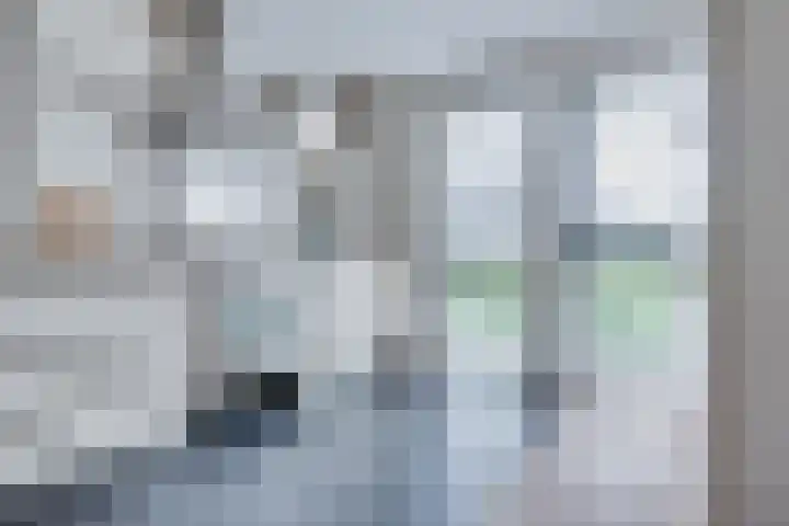 Gaffel 19 's-Hertogenbosch thumbnail 12