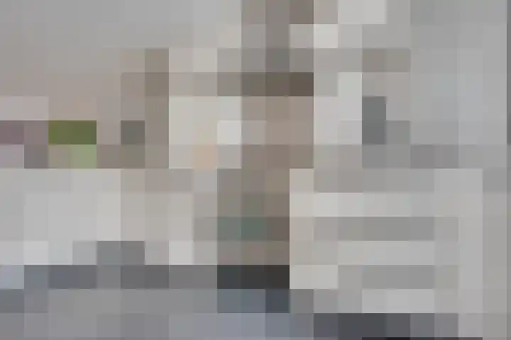 Gaffel 19 's-Hertogenbosch thumbnail 13