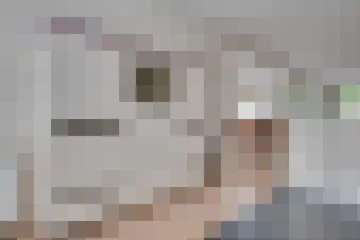 Gaffel 19 's-Hertogenbosch thumbnail 14