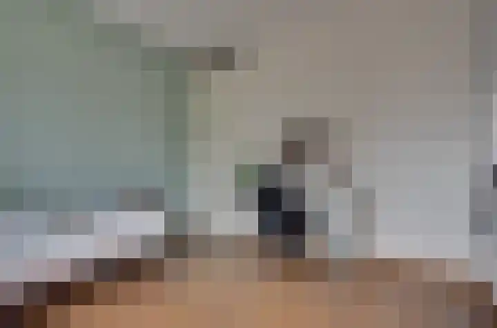 Gaffel 19 's-Hertogenbosch thumbnail 21