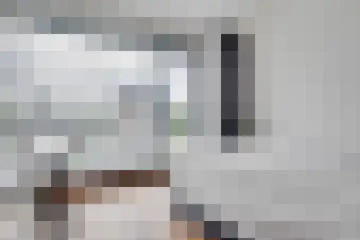 Gaffel 19 's-Hertogenbosch thumbnail 25