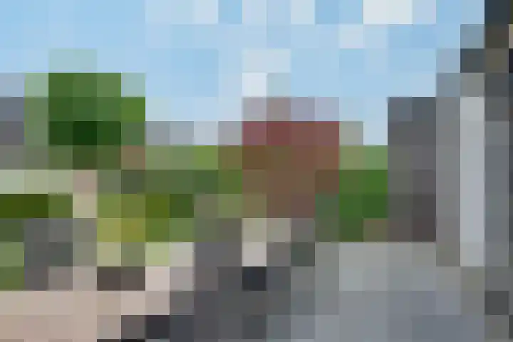 Gaffel 19 's-Hertogenbosch thumbnail 31