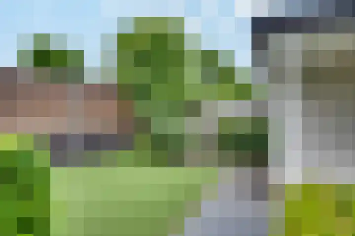 Gaffel 19 's-Hertogenbosch thumbnail 32