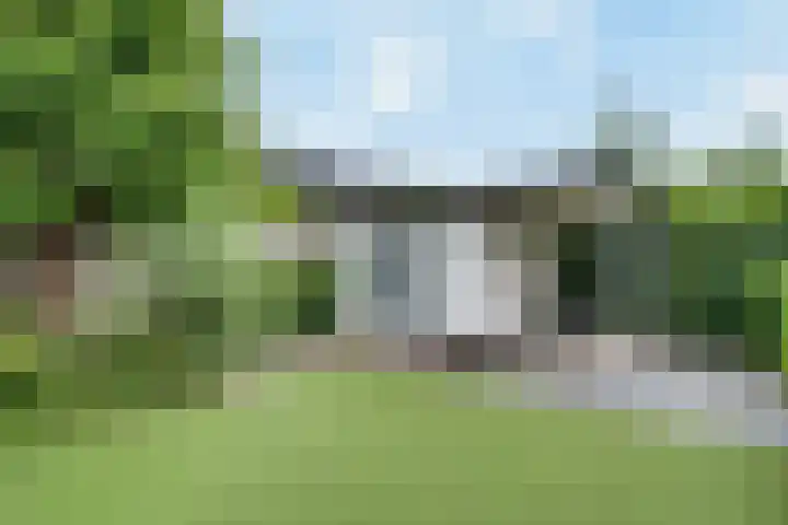 Gaffel 19 's-Hertogenbosch thumbnail 33