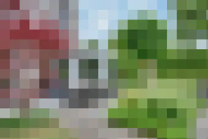 Gaffel 19 's-Hertogenbosch thumbnail 34