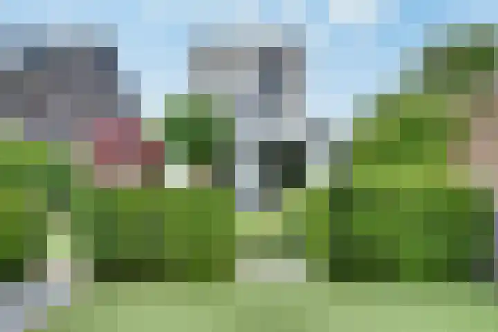 Gaffel 19 's-Hertogenbosch thumbnail 35