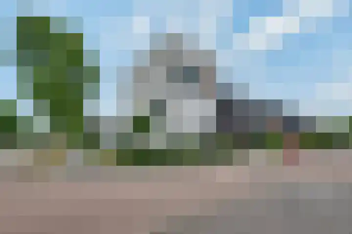 Gaffel 19 's-Hertogenbosch thumbnail 37