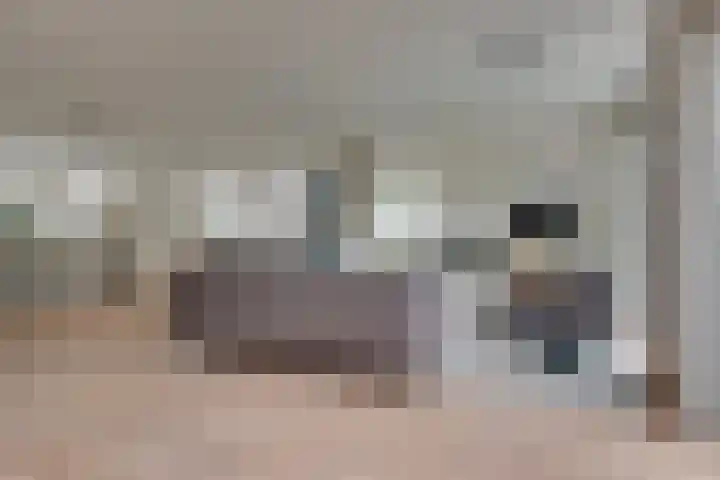 Gaffel 19 's-Hertogenbosch thumbnail 4