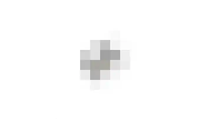 Gaffel 19 's-Hertogenbosch thumbnail 43