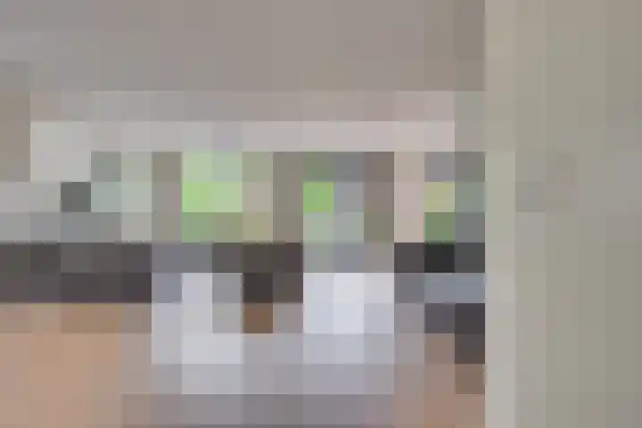 Gaffel 19 's-Hertogenbosch thumbnail 5