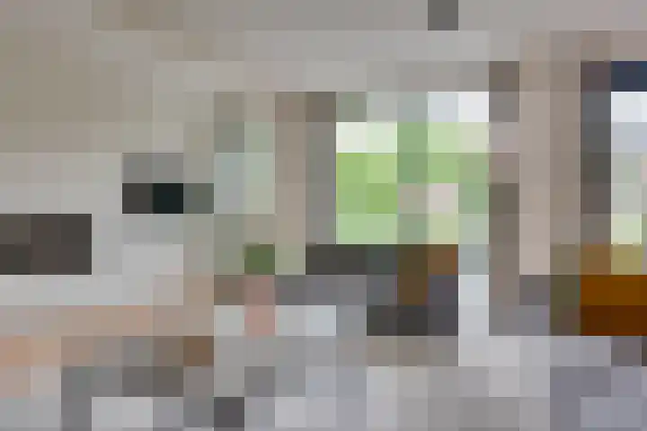 Gaffel 19 's-Hertogenbosch thumbnail 7