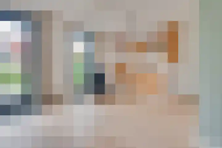 Gaffel 19 's-Hertogenbosch thumbnail 9