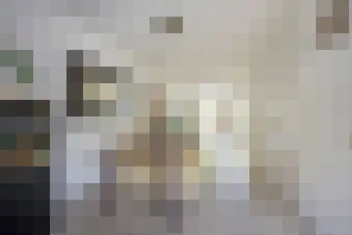 Gaffel 20 Nijkerk thumbnail 10