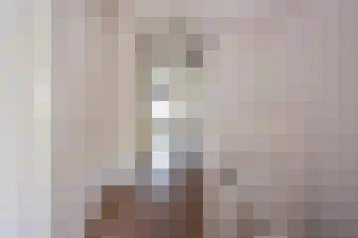Gaffel 20 Nijkerk thumbnail 14