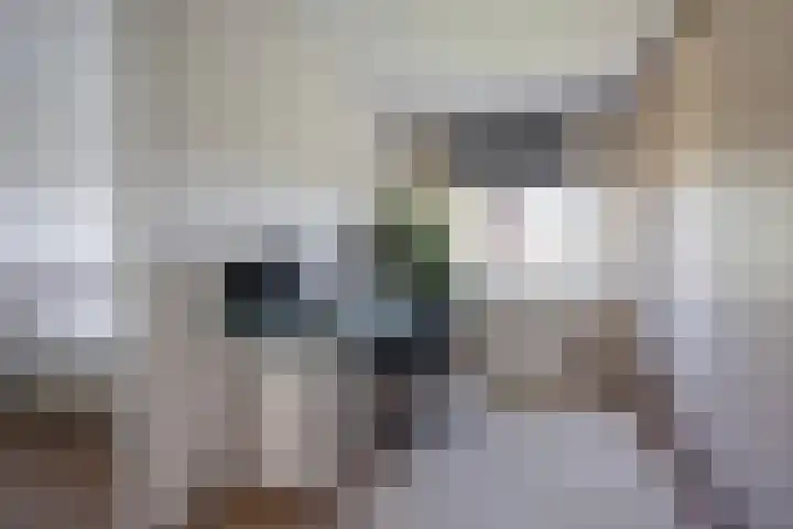Gaffel 20 Nijkerk thumbnail 15