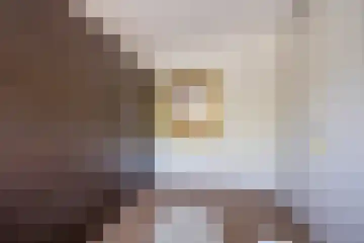 Gaffel 20 Nijkerk thumbnail 21