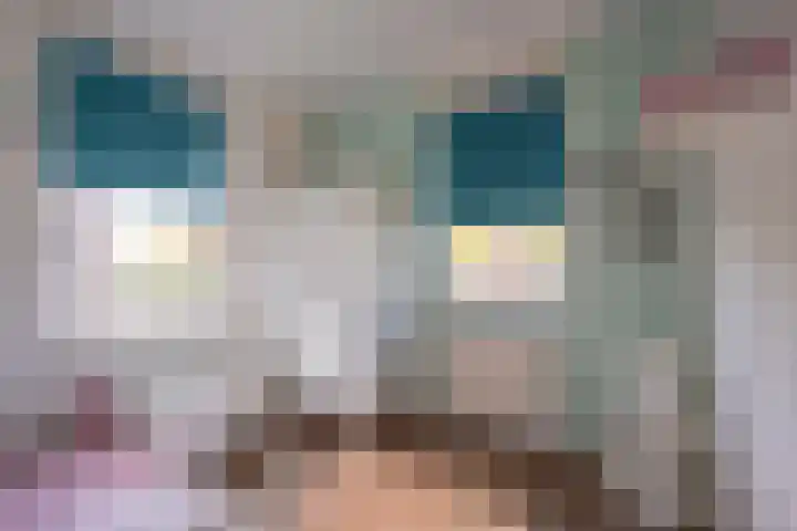 Gaffel 20 Nijkerk thumbnail 22