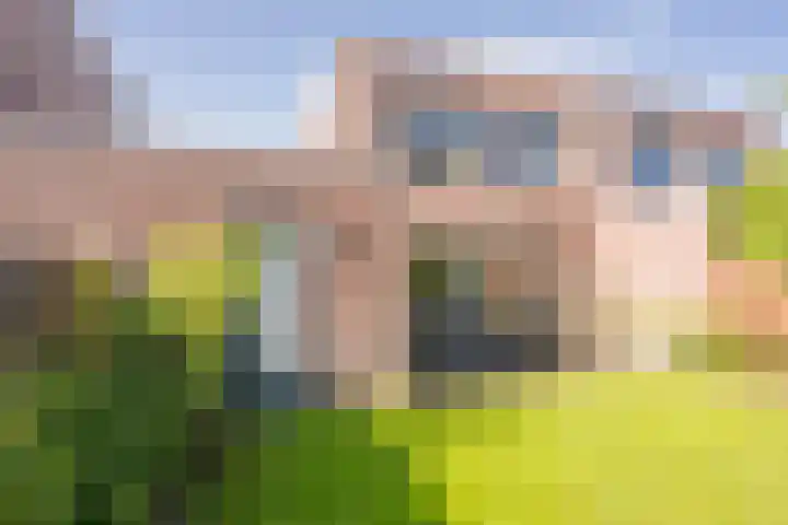 Gaffel 20 Nijkerk thumbnail 26