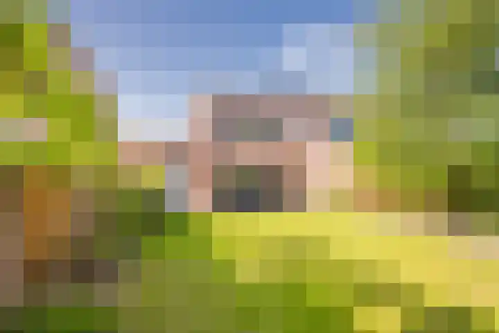 Gaffel 20 Nijkerk thumbnail 27