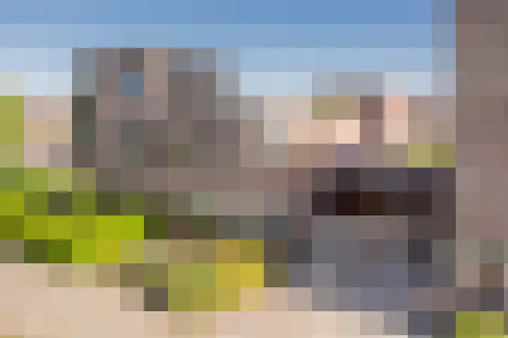 Gaffel 20 Nijkerk thumbnail 28