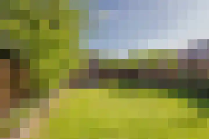 Gaffel 20 Nijkerk thumbnail 29