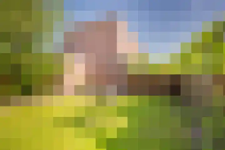 Gaffel 20 Nijkerk thumbnail 30