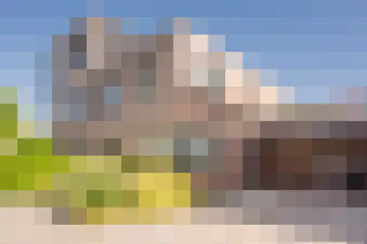 Gaffel 20 Nijkerk thumbnail 33